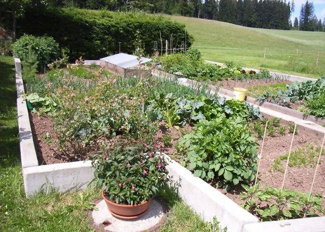 Ferienwohnung-talblick Appartement Titisee-Neustadt