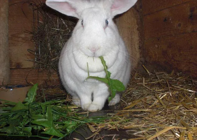 Appartement Ferienwohnung-talblick